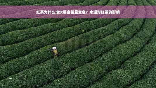 泡红茶为什么变苦变色？水温80-90度最好