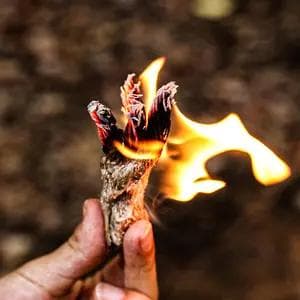 火绒：一种古老的引火材料