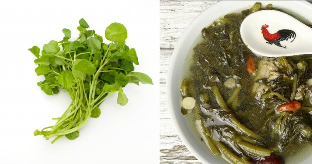 西洋菜汤水食谱：8款清热润肺止咳下火的西洋菜汤水