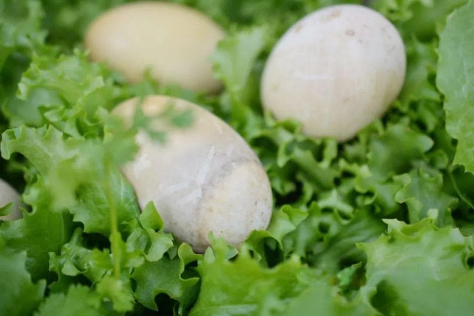 腌咸鸭蛋，不用裹泥巴，个个流油起沙！