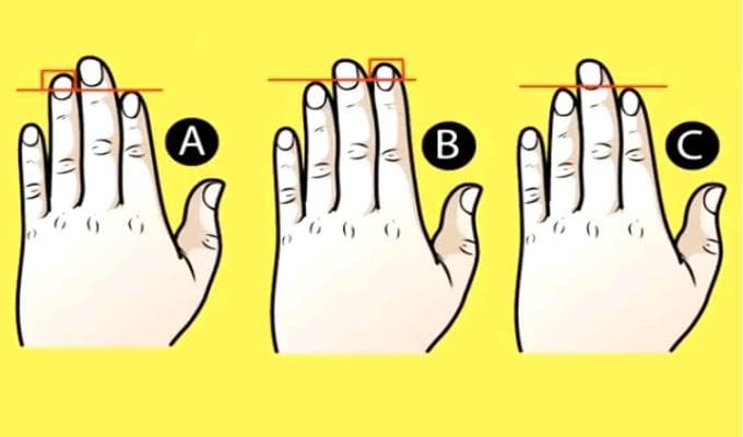 无名指比食指长代表什么？科学研究揭示手指长度与能力的关系