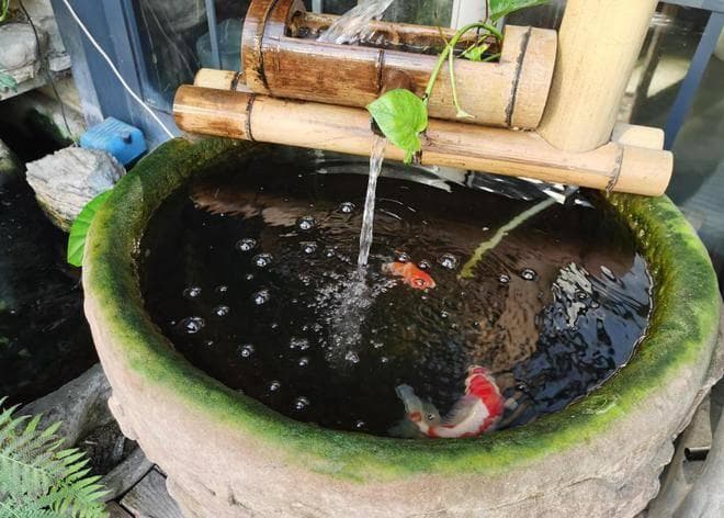 “客厅摆水可催财”，鱼缸放在哪里最吉利？这些禁忌要注意