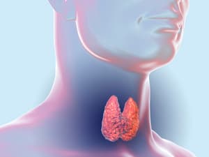 甲状腺手术后低钙血症原因与防治