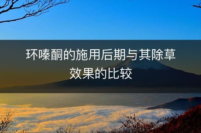 环嗪酮的施用后期与其除草效果的比较