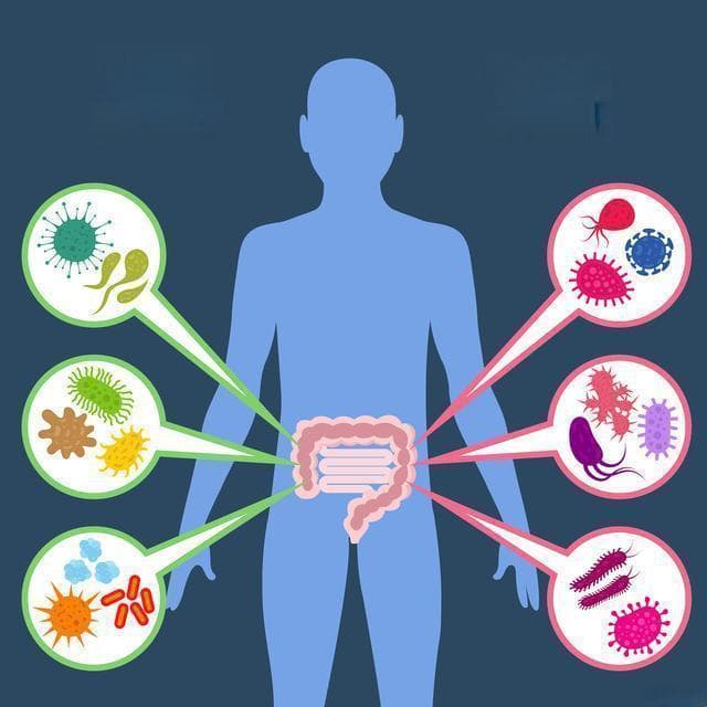 情绪如何操控你的肠道健康？