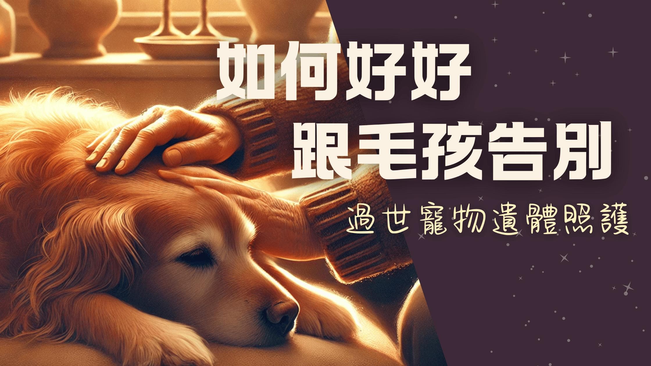 如何妥善处理宠物遗体？这份照护指南请收好