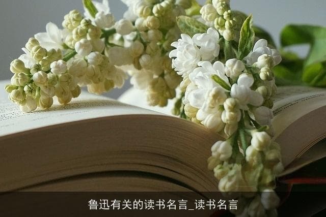 鲁迅有关的读书名言：读书，是灵魂的滋养