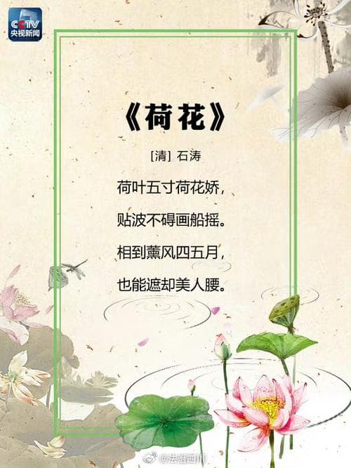 描写夏季美的诗句有哪些？盛夏美景：吟诵诗歌里的浓浓夏意!
