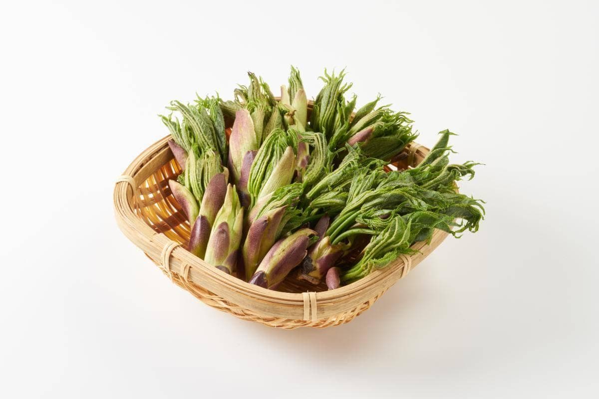贡菜是什么菜，你知道吗？