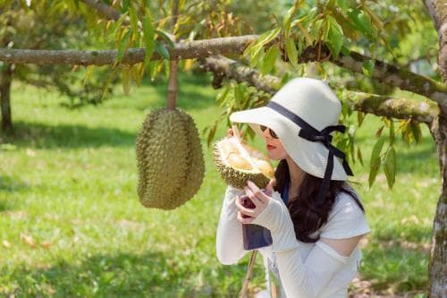 榴莲：中国人从 “臭拒” 到 “真香” 的逆袭