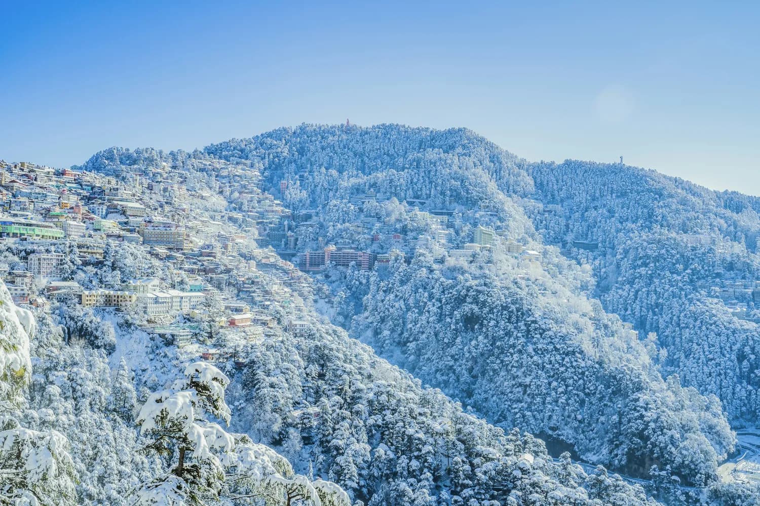 九华山冰雪奇观：云海与雾凇相逢