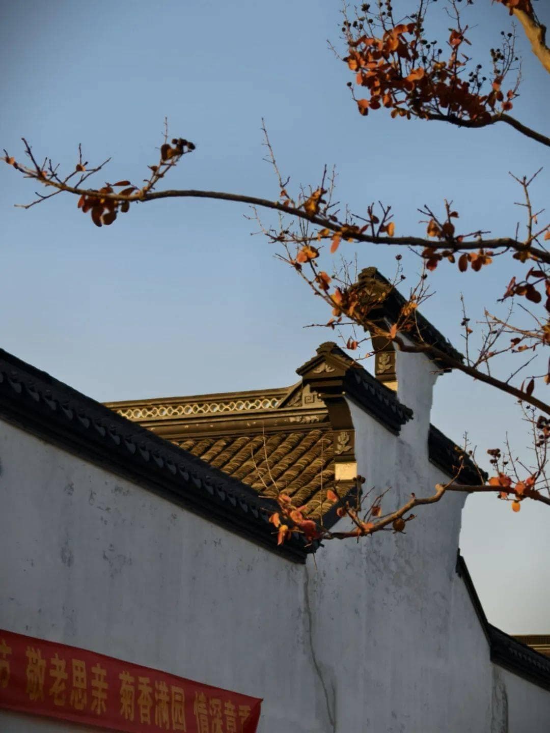做人，内核要稳，精神要松