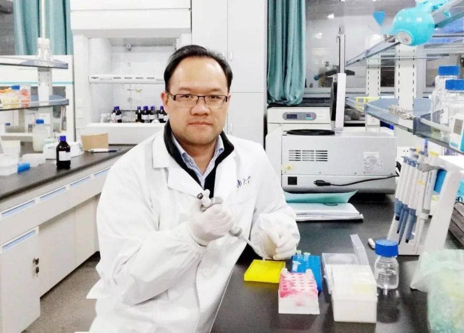 事关痛风治疗！江南大学实现秋水仙碱前体高效合成