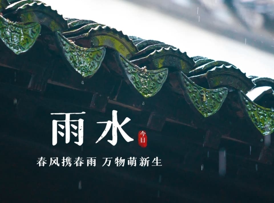 雨水节气的三种“黄金菜”，应季而食尝尝鲜