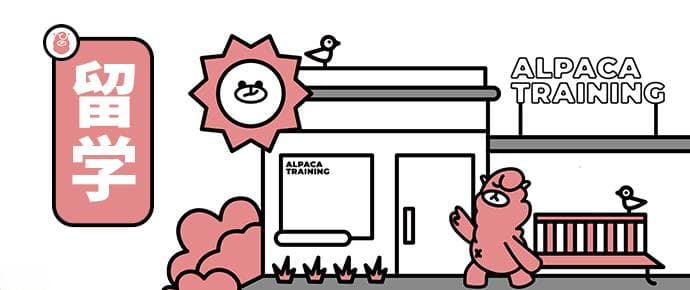 PTE阅读单选题(Single Answer)题型解析：快速定位正确答案的技巧