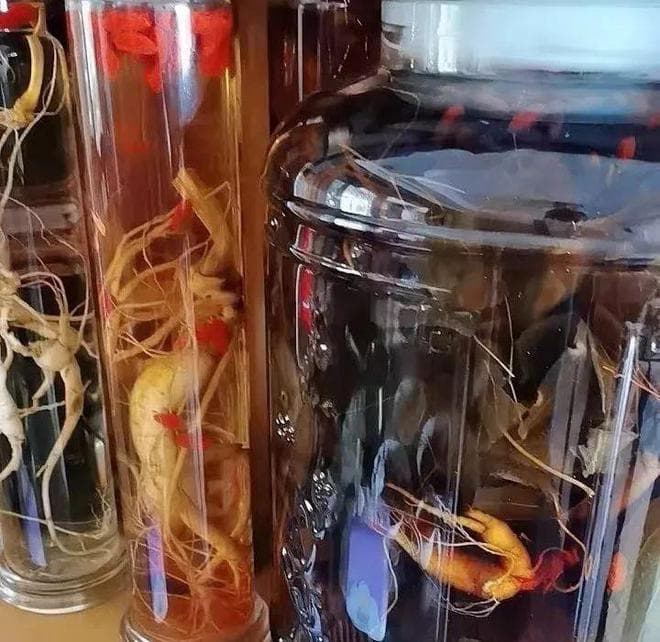 广西泡酒：万物皆可泡的独特酒文化