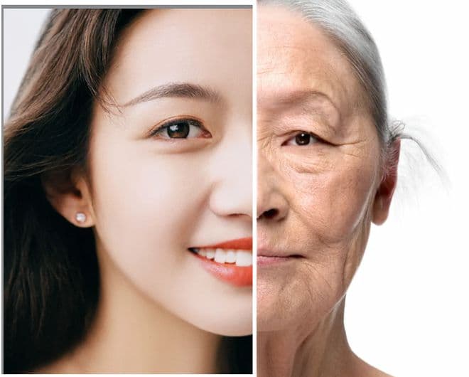 解码人类衰老机制，及对抗衰老的策略
