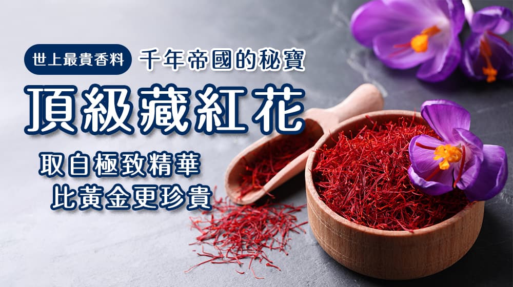 千年帝國的藏紅花：為何它比黃金更珍貴？