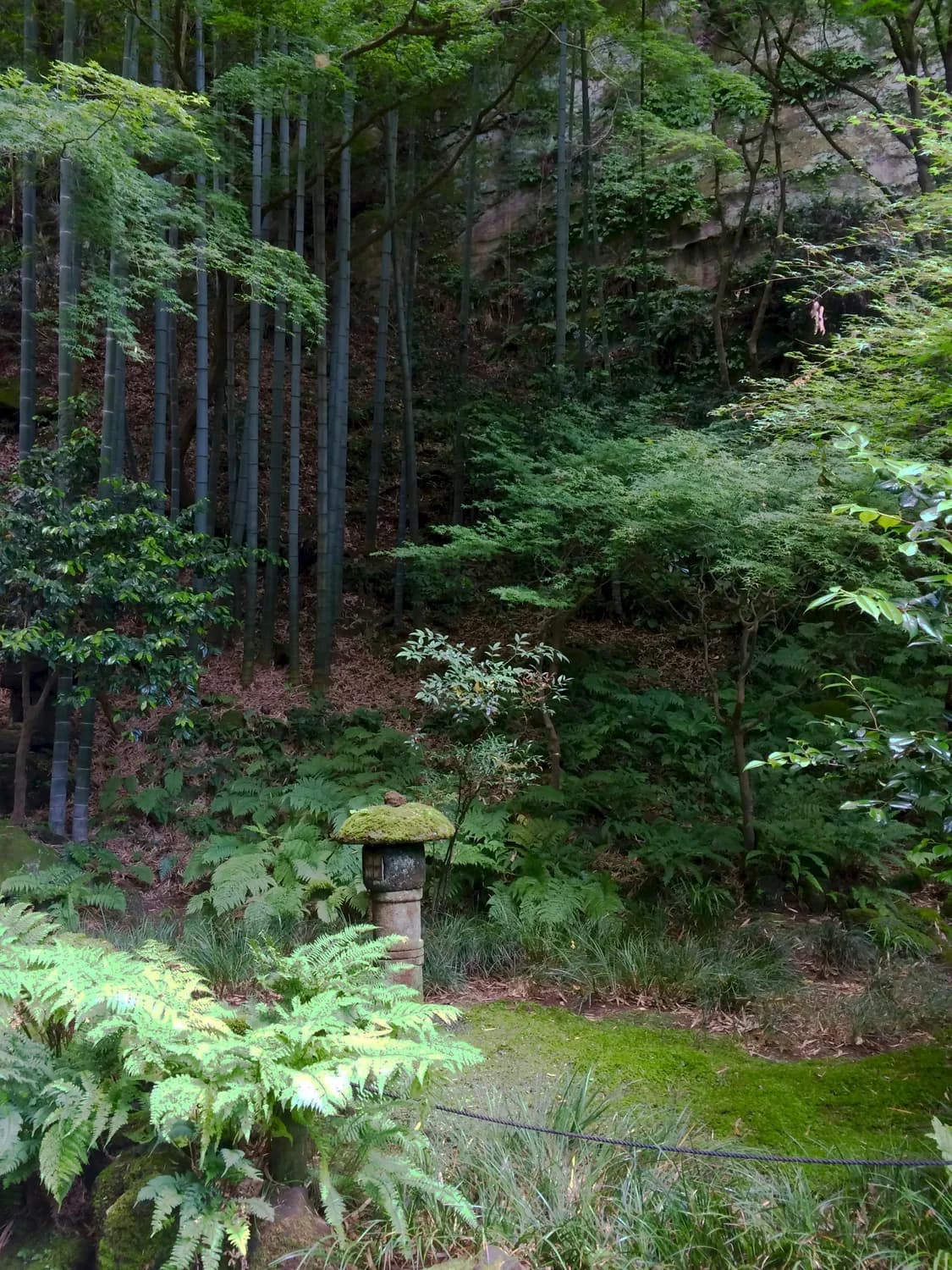 莫干山：从铸剑传奇到国际度假胜地