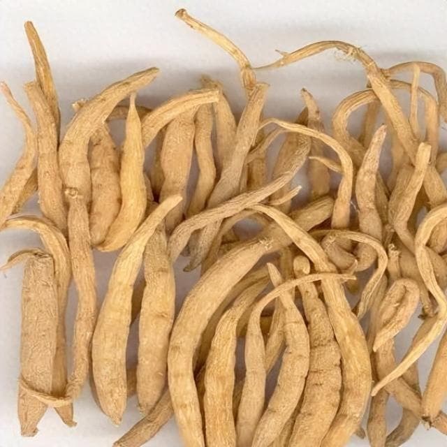 益气健脾，生津润肺——太子参