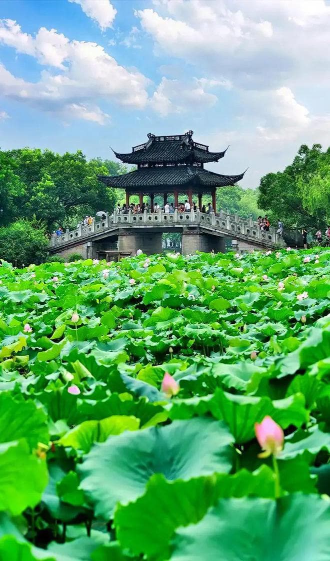 张岱：西湖七月半