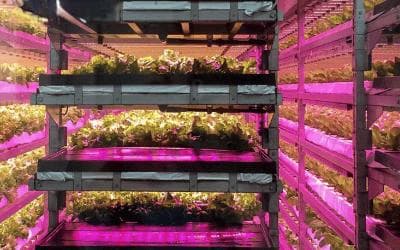 植物工厂水培水质营养监测解决方案