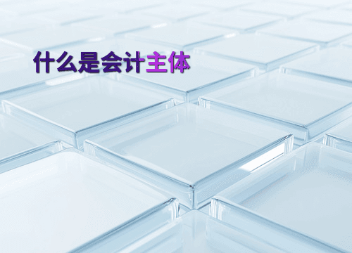 什么是会计主体