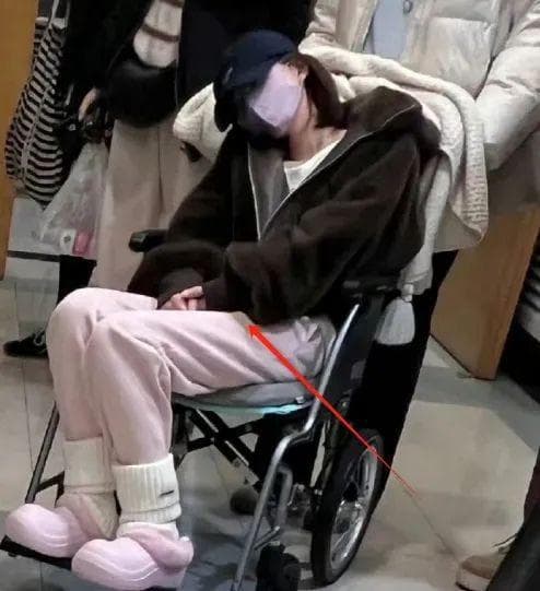 赵露思突发重病，急送医院引发粉丝热议！