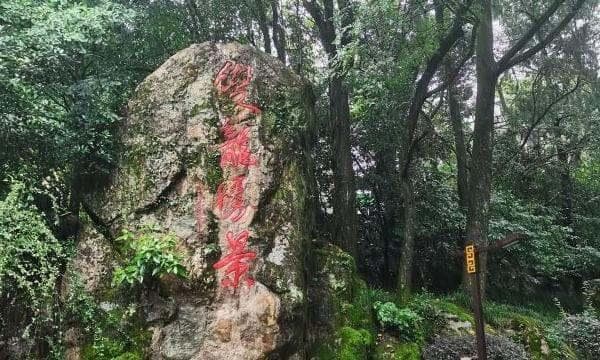 金华九县（市、区）自驾游全攻略：从双龙洞到横店影视城