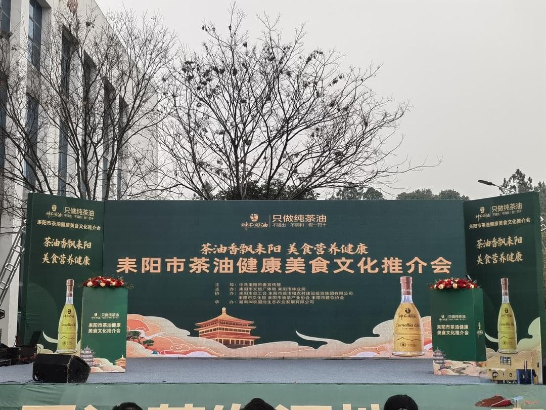 千年油茶香 健康新“食尚”——耒阳举行首届茶油健康美食文化推介会