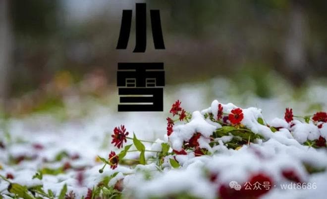“冷不冷，就看小雪”，今日小雪，今年冬天冷到哭？雨雪多吗？