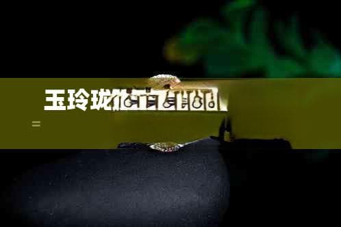 玉玲珑之光：璀璨饰品的魅力与传承