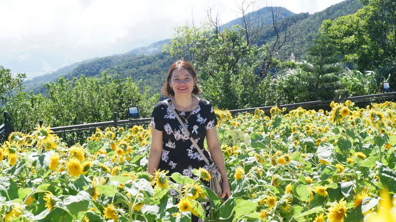 官庄镇中心小学教师评选活动圆满结束，三位优秀教师获表彰