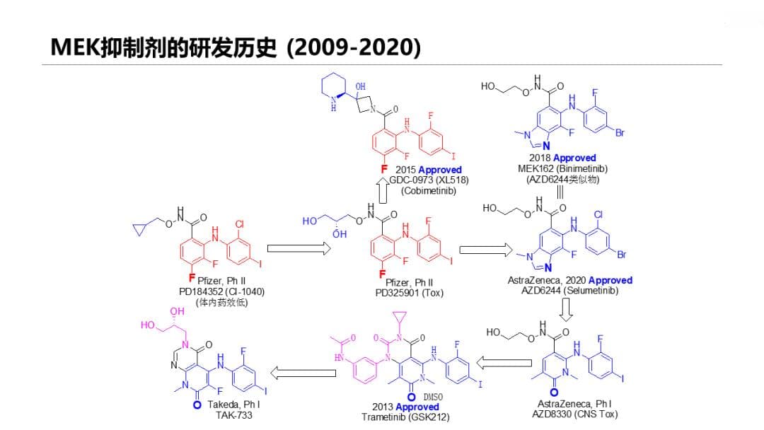 全球首个NRAS突变黑色素瘤MEK抑制剂：妥拉美替尼研发历程揭秘