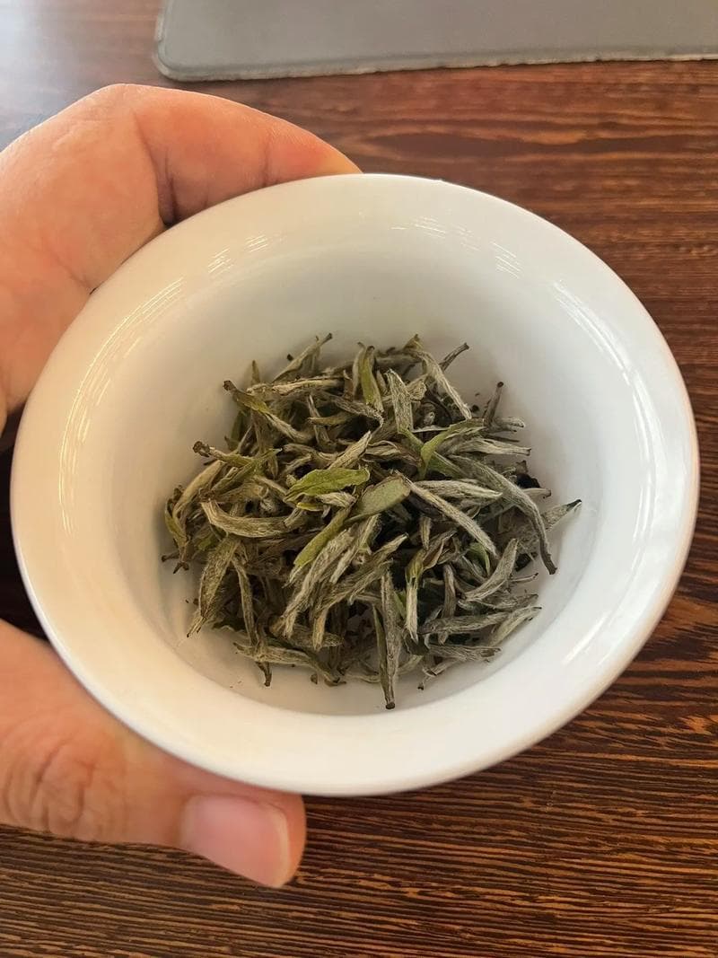 白毫银针属于什么茶？起源、功效、冲泡方法详解