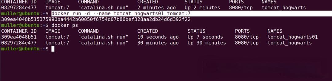 深入理解 Docker Run 命令：从入门到精通