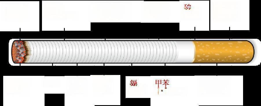 吸烟的危害：从头到脚的全面解析
