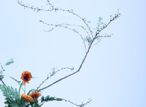 插花的五个步骤是什么？现场插花的五种技巧？