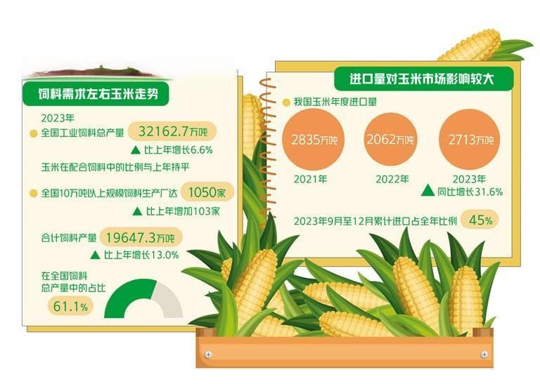 今年玉米市场走势如何