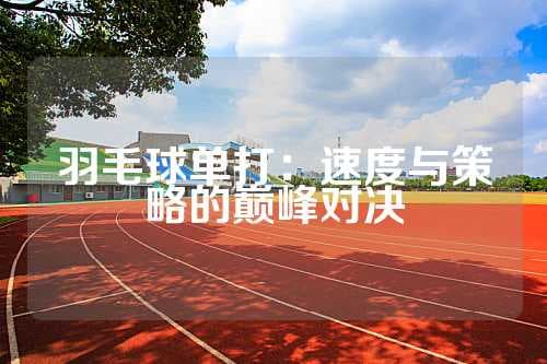 羽毛球单打规则详解：从场地器材到比赛流程