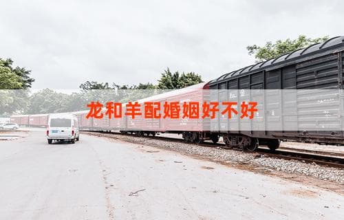龙和羊配婚姻好不好？深度解析龙羊组合婚恋运势