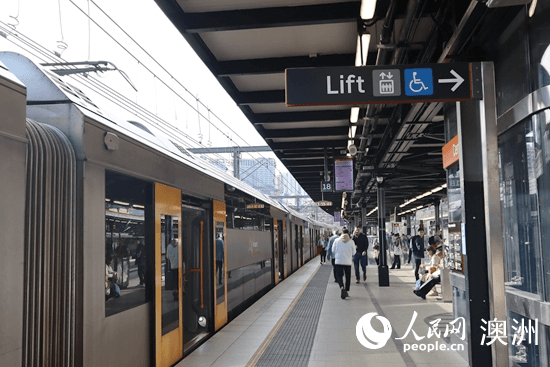 悉尼交通攻略：澳宝卡通刷，四种方式畅游城市