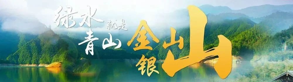 人与AI合著：新质生产力的时代特征