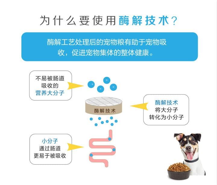 酶解宠物粮：生物酶解技术如何提升宠物食品品质？