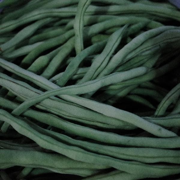 积食的孩子可以吃啥饭菜