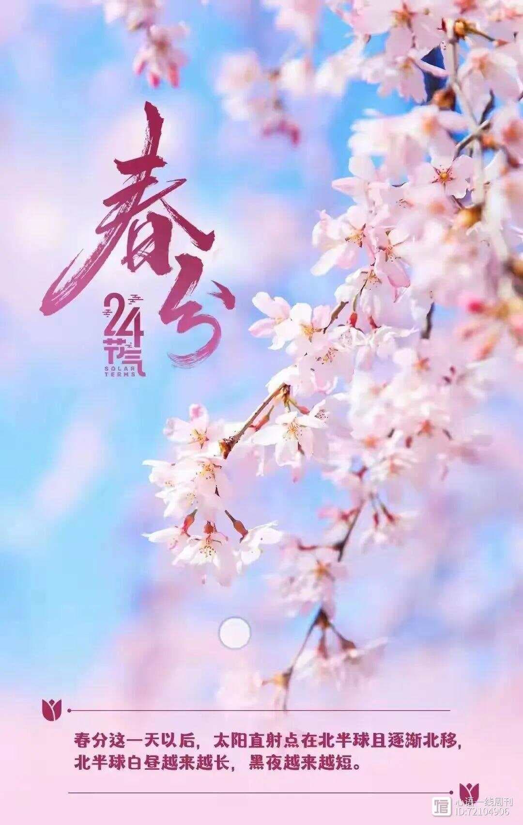 春分节气最美图片最暖心文案：一半春色入心、一半春色予你