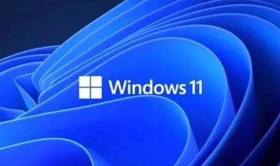 Windows 11网络连接问题解决方案：处理’非专用连接’警告