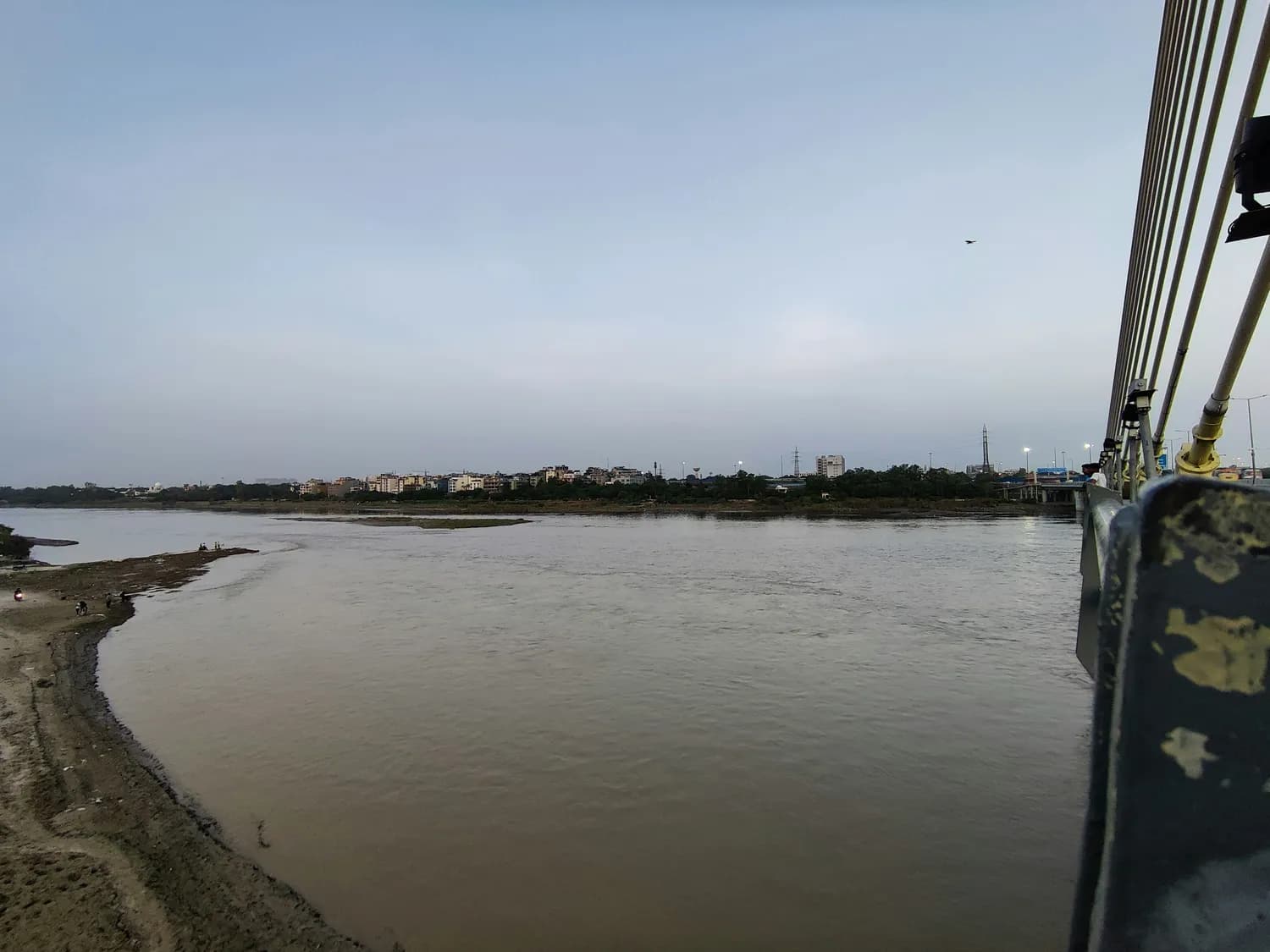 黄河口湿地生态旅游区：青岛至东营的绝美自然之旅