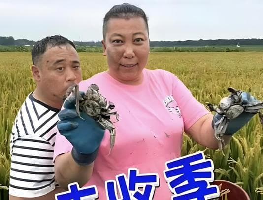 东北雨姐再次翻车，“一只螃蟹”还能拖多少人下水？