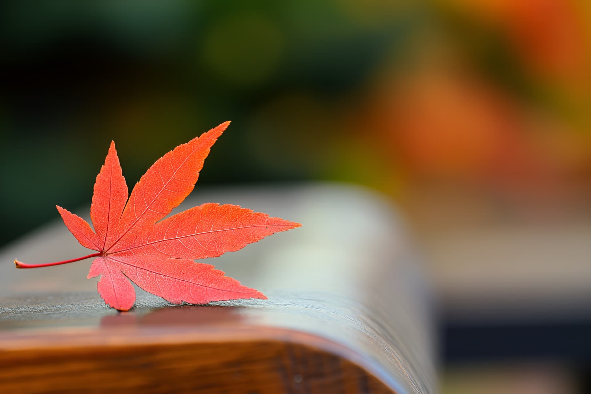 高三语文成绩如何提升到130分？都有哪些提分技巧和策略